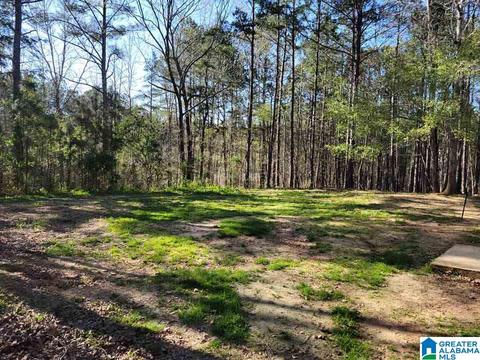 859 County Road 233, Fruithurst, AL 36262 photo 4