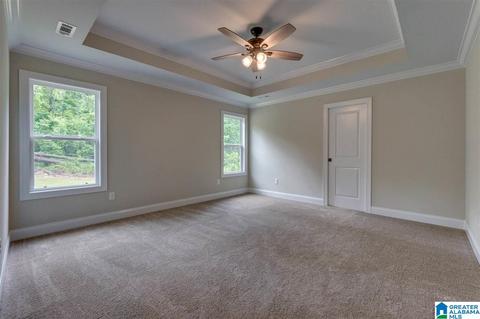 803 New Harmony Rd, Clanton, AL 35045 photo 20