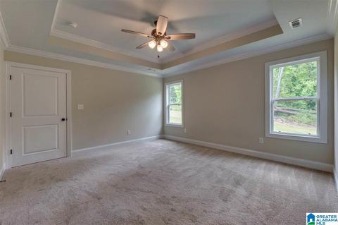 803 New Harmony Rd, Clanton, AL 35045 photo 21