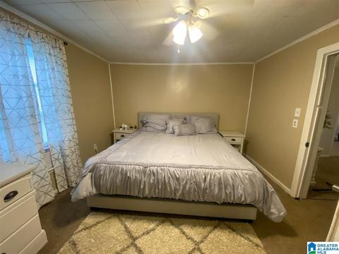 265 Boren Rd, Warrior, AL 35180 photo 19