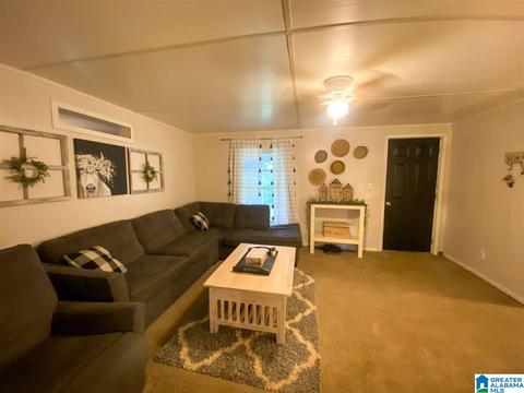 265 Boren Rd, Warrior, AL 35180 photo 11