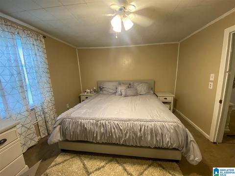 265 Boren Rd, Warrior, AL 35180 photo 18