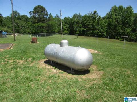 989 County Road 356, Clanton, AL 35045 photo 20