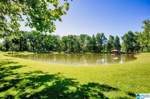 622 County Road 75, Clanton, AL 35045 photo 43
