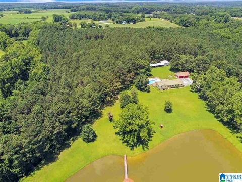 622 County Road 75, Clanton, AL 35045 photo 48