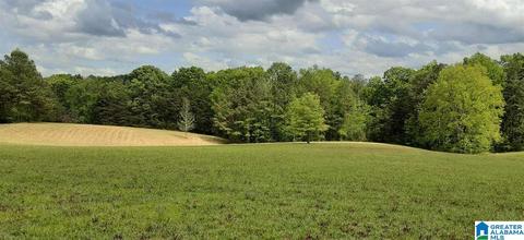 215 Cherokee Loop, Oneonta, AL 35121 photo 47