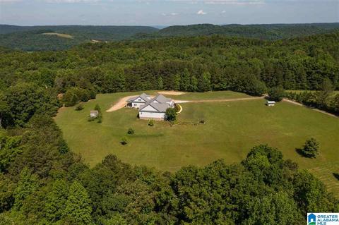 215 Cherokee Loop, Oneonta, AL 35121 photo 38