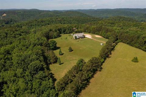 215 Cherokee Loop, Oneonta, AL 35121 photo 2