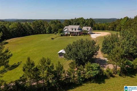 215 Cherokee Loop, Oneonta, AL 35121 photo 3