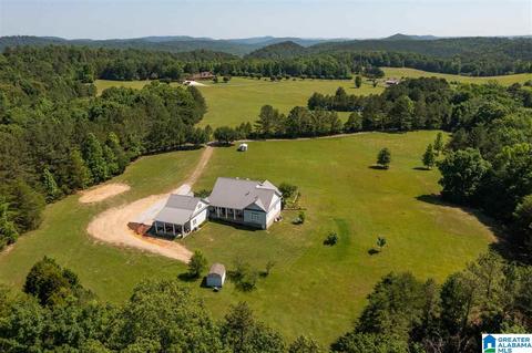 215 Cherokee Loop, Oneonta, AL 35121 photo 36