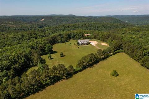 215 Cherokee Loop, Oneonta, AL 35121 photo 40