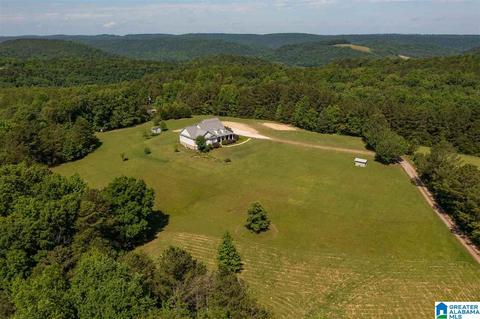 215 Cherokee Loop, Oneonta, AL 35121 photo 39