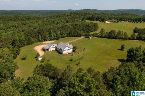 215 Cherokee Loop, Oneonta, AL 35121 photo 37