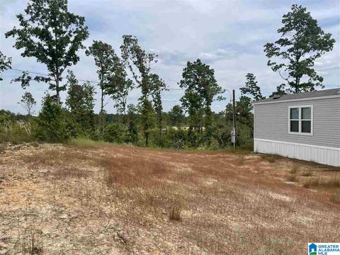 140 County Road 214, Fruithurst, AL 36262 photo 19