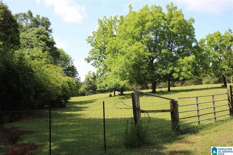 11454 County Road 267, Five Points, AL 36855 photo 47