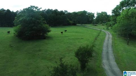 11454 County Road 267, Five Points, AL 36855 photo 44