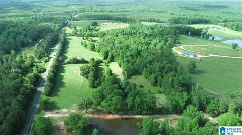 11454 County Road 267, Five Points, AL 36855 photo 46