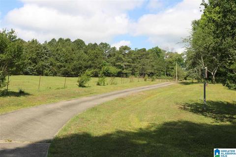 11454 County Road 267, Five Points, AL 36855 photo 48