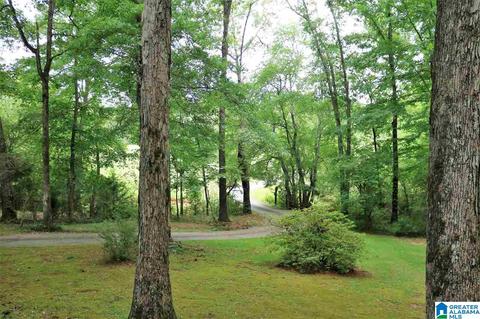 11454 County Road 267, Five Points, AL 36855 photo 6
