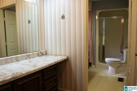 11454 County Road 267, Five Points, AL 36855 photo 22