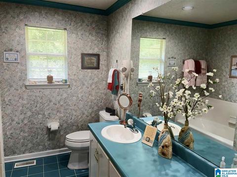 1202 Ruby Cir, Mount Olive, AL 35117 photo 18