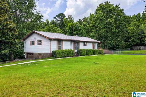 875 Skyline Dr, Warrior, AL 35180 photo 3