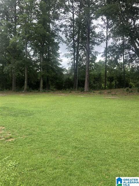 1003 Old Samaria Rd, Clanton, AL 35045 photo 25