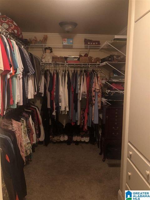 1003 Old Samaria Rd, Clanton, AL 35045 photo 39