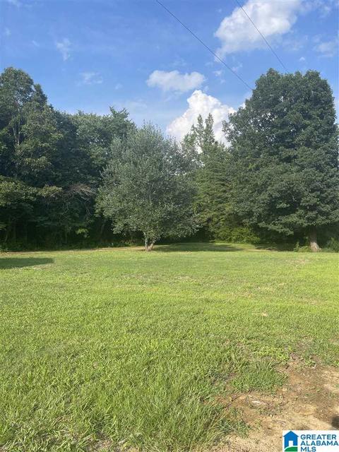 426 Old Stagecoach Rd, Eldridge, AL 35554 photo 5