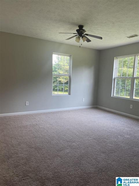 426 Old Stagecoach Rd, Eldridge, AL 35554 photo 3