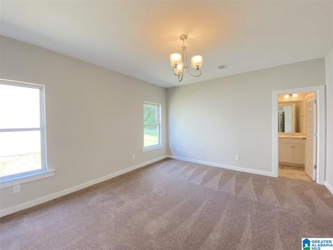 119 Wolf Ln, Parrish, AL 35580 photo 17