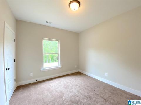 135 Wolf Ln, Parrish, AL 35580 photo 19