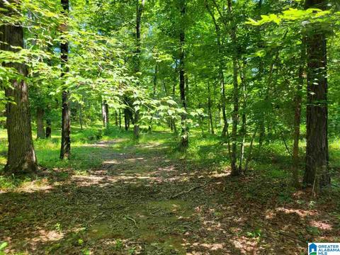 1401 Sardis Rd #22, Gardendale, AL 35071