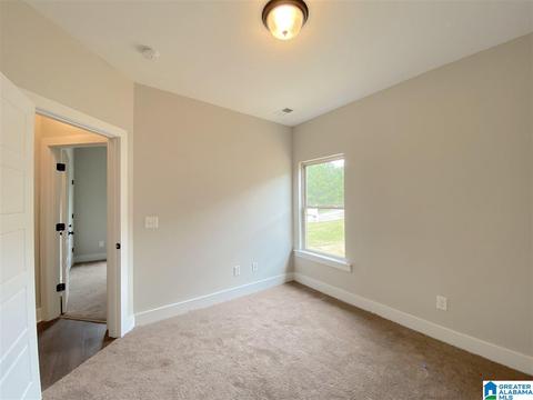 11 Wolf Ln, Parrish, AL 35580 photo 23