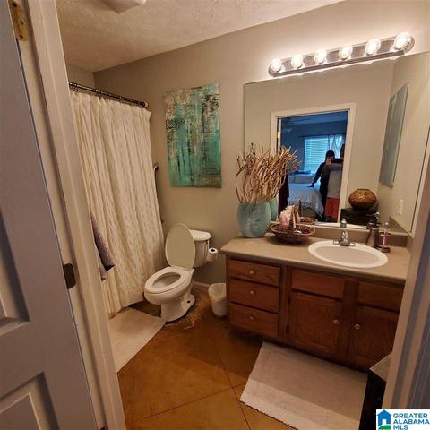 83 Rays Loop, Sylacauga, AL 35151 photo 12