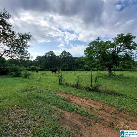 83 Rays Loop, Sylacauga, AL 35151 photo 17