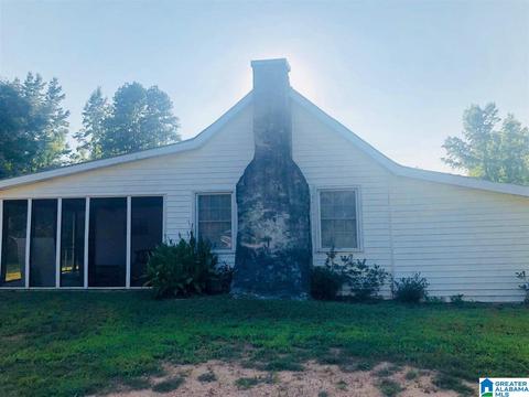 1107 County Road 313, Delta, AL 36258 photo 1