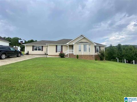 910 Ridgeway Dr, Oneonta, AL 35121 photo 12