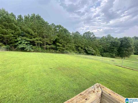 910 Ridgeway Dr, Oneonta, AL 35121 photo 38