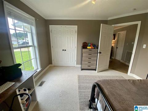 910 Ridgeway Dr, Oneonta, AL 35121 photo 27