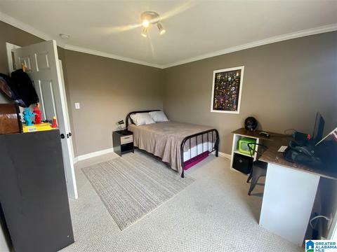 910 Ridgeway Dr, Oneonta, AL 35121 photo 22