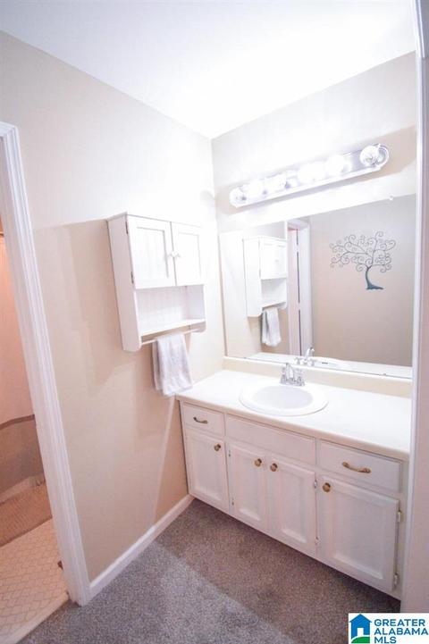 1006 Yellowleaf Ln, Maylene, AL 35114 photo 10