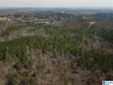 0 Bone Dry Rd #1, Warrior, AL 35091
