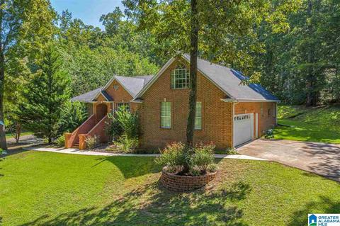 1025 Pine Mountain Rd, Remlap, AL 35133 photo 3
