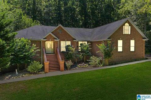 1025 Pine Mountain Rd, Remlap, AL 35133 photo 4