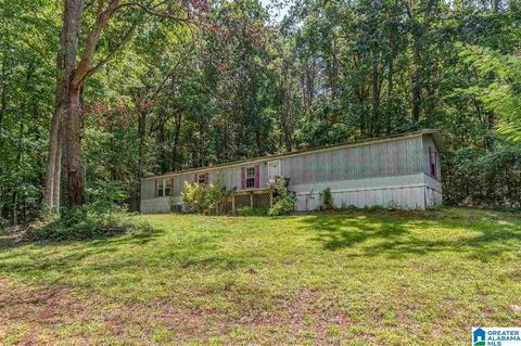 1025 Pine Mountain Rd, Remlap, AL 35133 photo 40