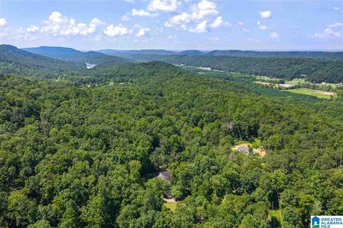 1025 Pine Mountain Rd, Remlap, AL 35133 photo 39