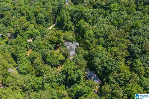 1025 Pine Mountain Rd, Remlap, AL 35133 photo 38