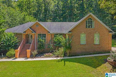 1025 Pine Mountain Rd, Remlap, AL 35133 photo 2