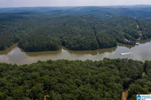 63 Arrowhead Dr, Delta, AL 36258 photo 7